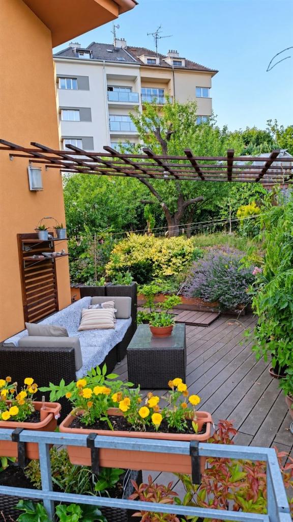 Pronájem bytu 1+kk 50 m2, Brno – náhled fotky 5