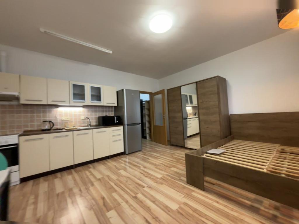 1-room apartment for rent · 30 m² · Plzeň — 557 €/mo