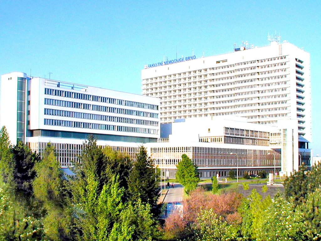 Pronájem bytu 2+kk 55 m2, Brno – náhled fotky 34