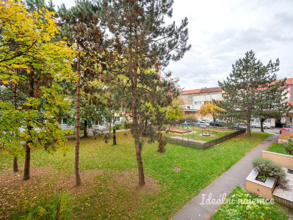 Pronájem bytu 3+kk 67 m2, Praha – náhled fotky 13