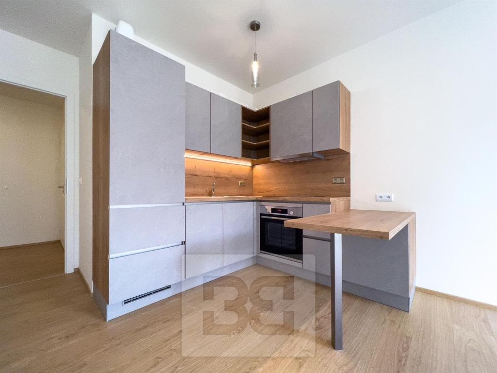 Pronájem bytu 2+kk 48 m2