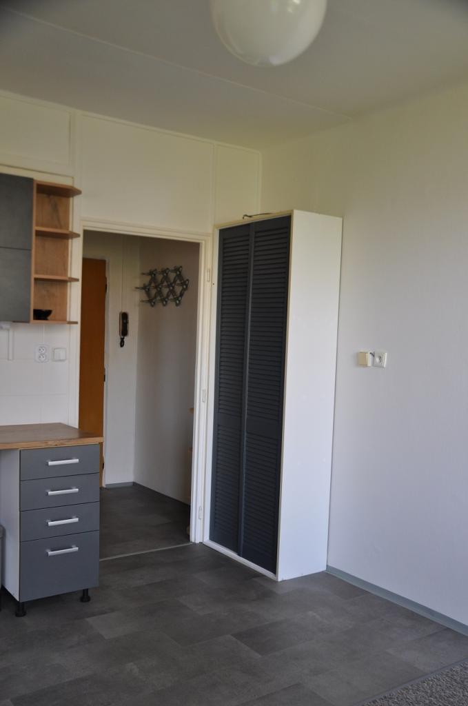 Pronájem bytu 1+1 42 m2