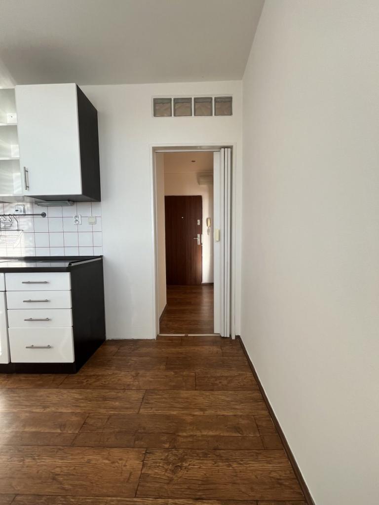 Pronájem bytu 1+1 41 m2
