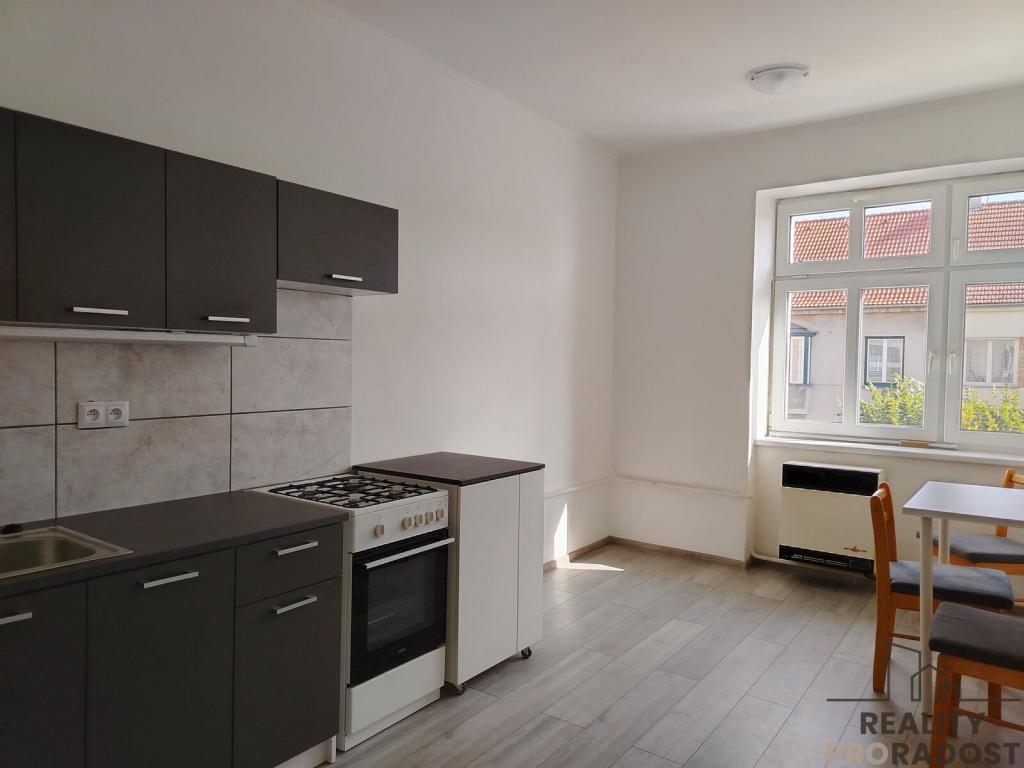 Pronájem bytu 1+1 42 m2