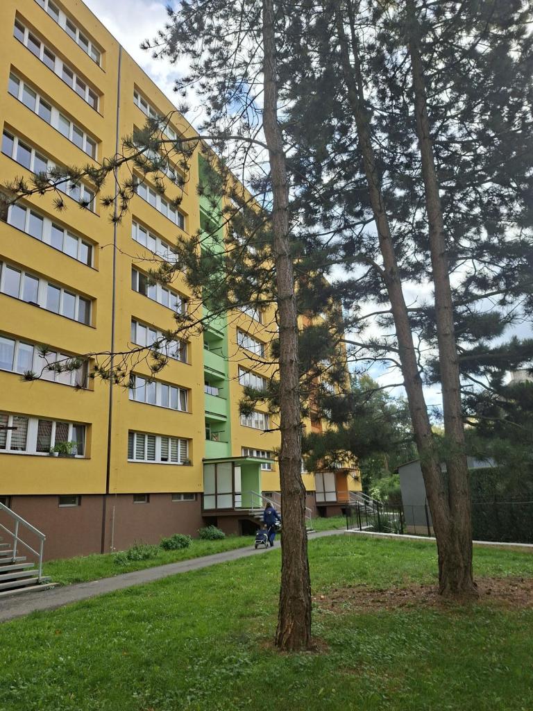 Pronájem bytu 1+1 35 m2