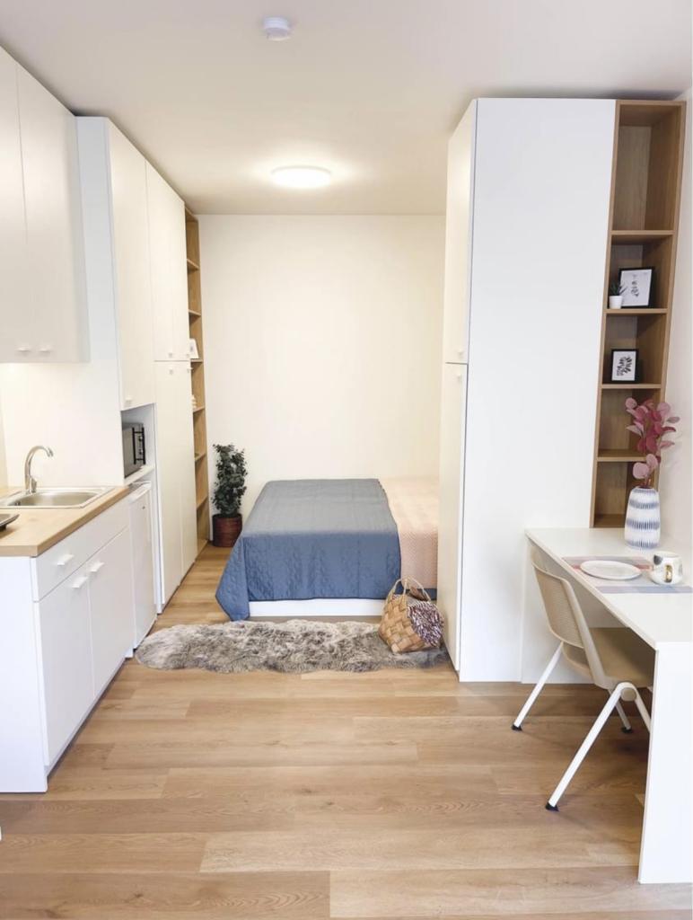 Pronájem bytu 1+kk 30 m2