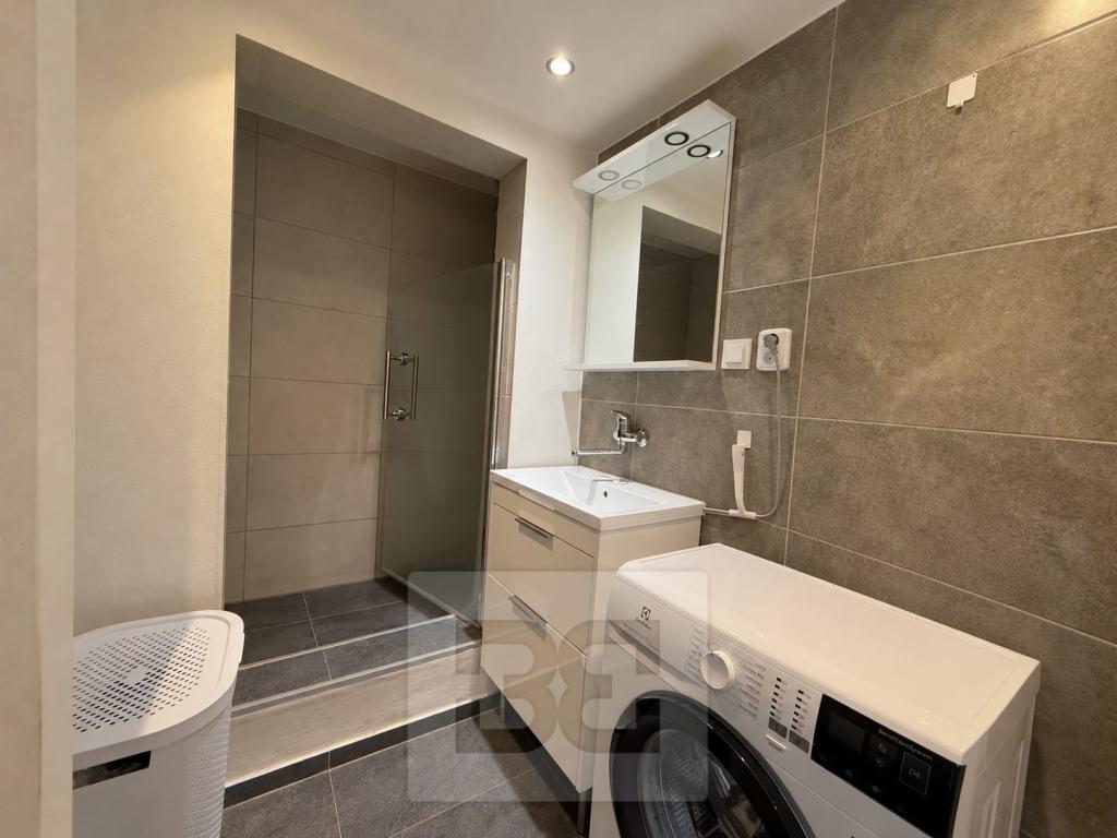Pronájem bytu 1+1 40 m2, Praha – náhled fotky 12