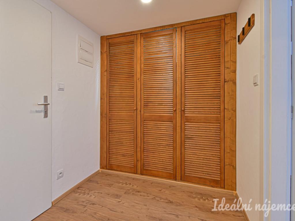 Pronájem bytu 1+kk 25 m2, Brno – náhled fotky 9