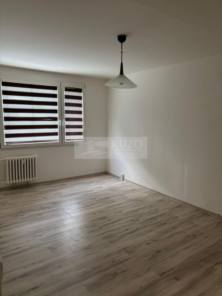 Pronájem bytu 1+1 42 m2