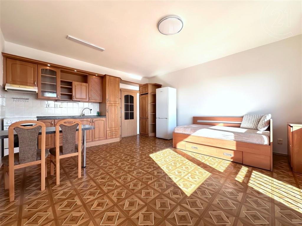 Pronájem bytu 1+kk 35 m2