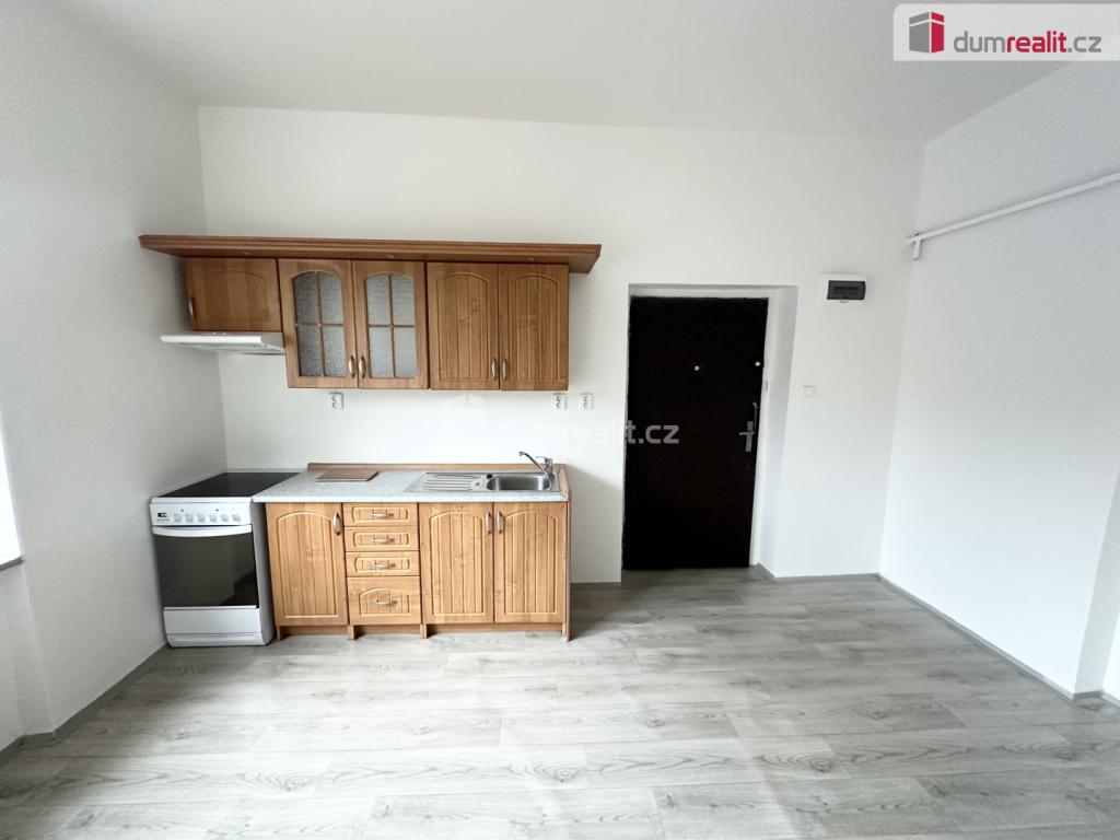 Pronájem bytu 1+1 53 m2