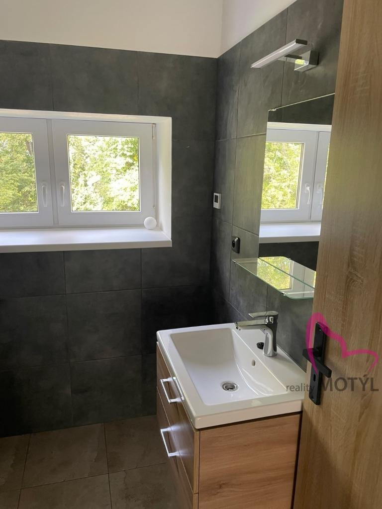 Pronájem bytu 1+1 38 m2