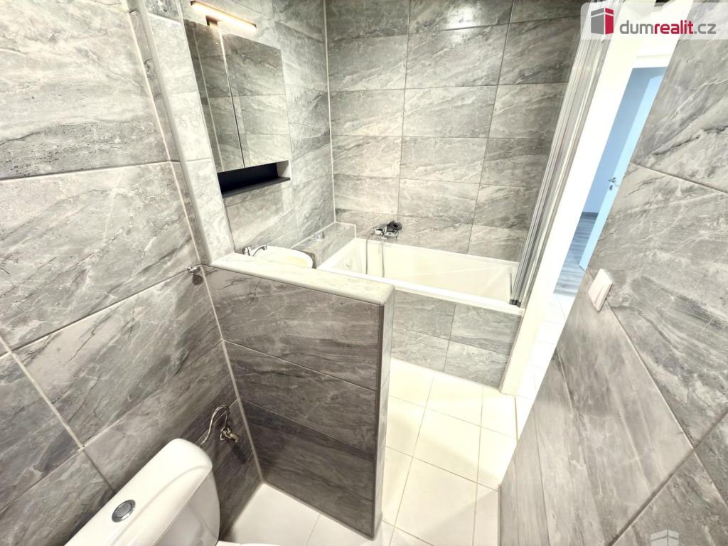 Pronájem bytu 2+1 60 m² – další