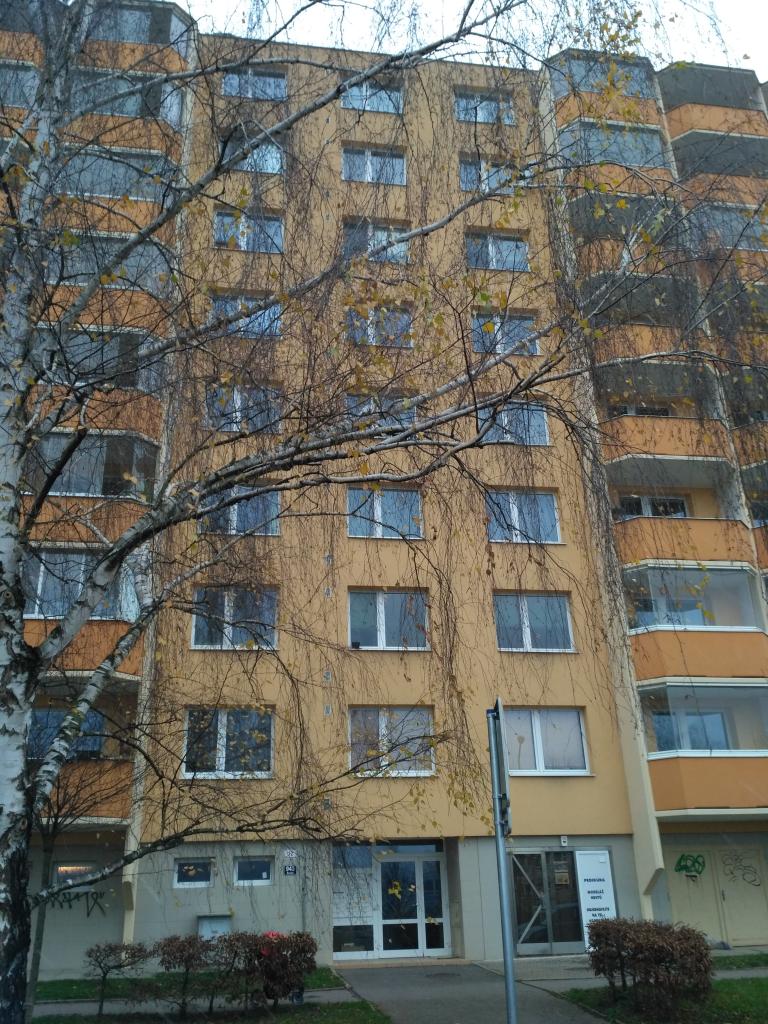 Pronajem bytu 2+1 60 m2