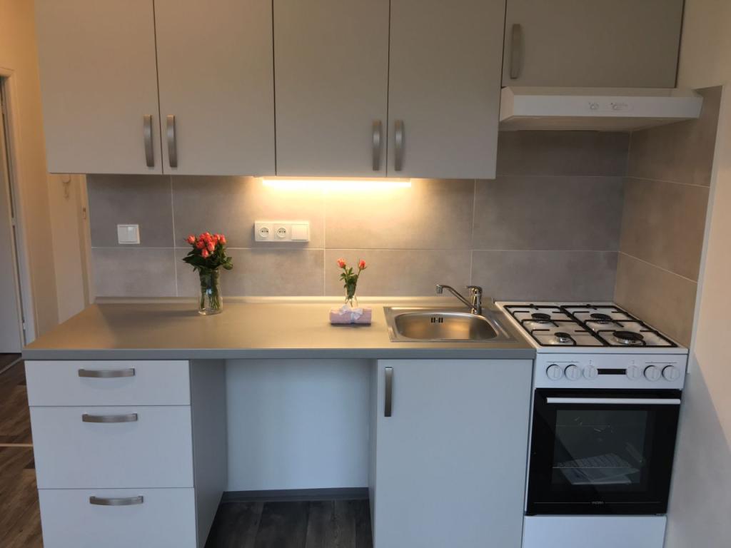 1+1 Apartment in Ostrava, Ostrava-Jih, Výškovice – pohled 3