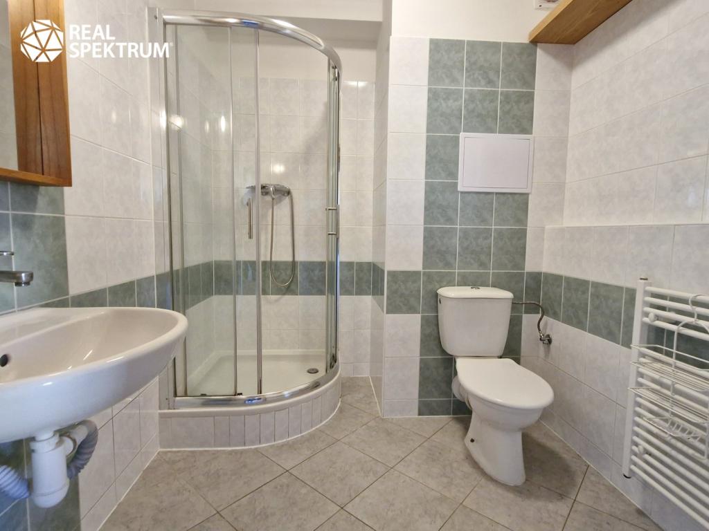 Pronájem bytu 1+kk 30 m2