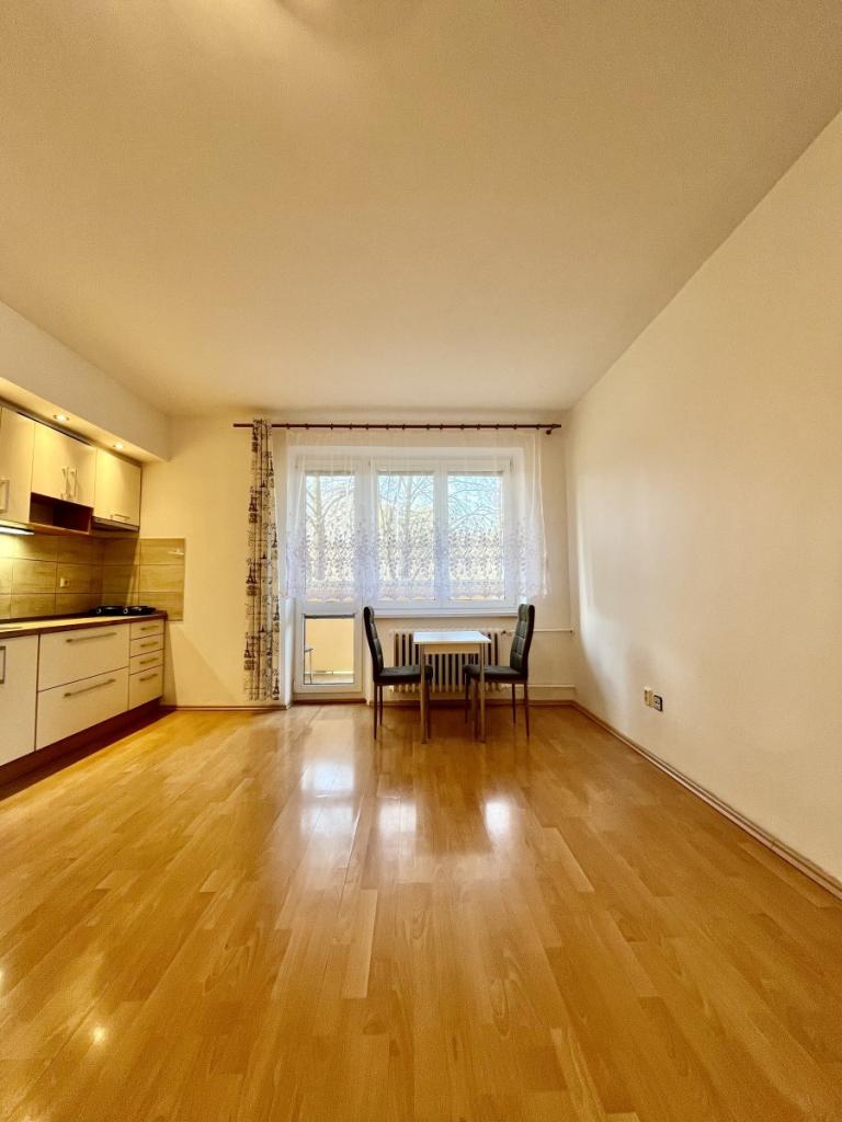 Pronájem bytu 1+kk 23 m2
