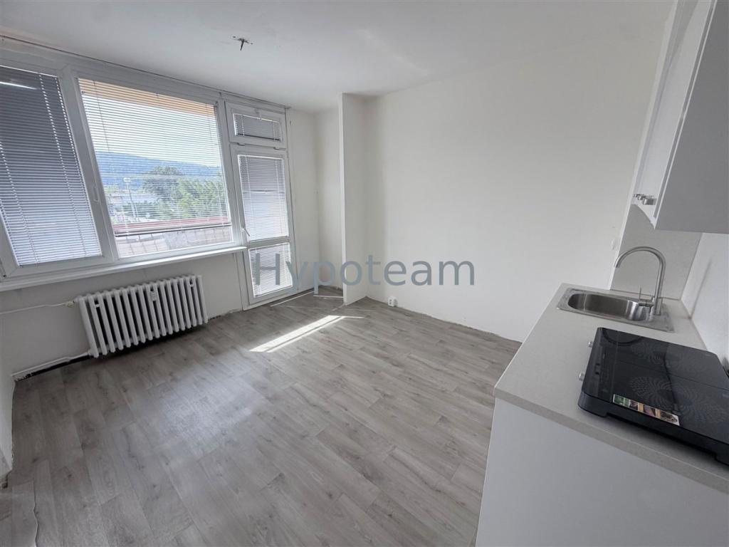 Pronájem bytu 1+1 42 m2, Ústí nad Labem – náhled fotky 3