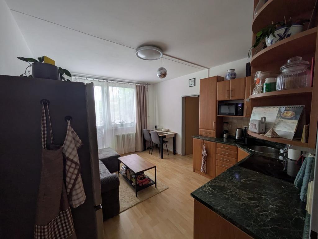 Pronájem bytu 2+kk 49 m2