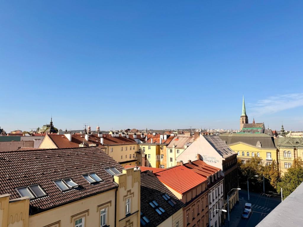 Pronájem bytu 1+1 34 m2, Plzeň – náhled fotky 6