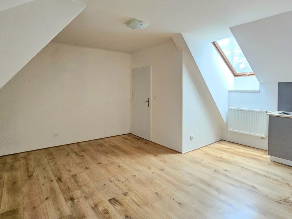Pronájem bytu 1+kk 36 m2