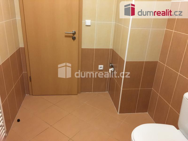 Pronájem bytu 1+kk 43 m2
