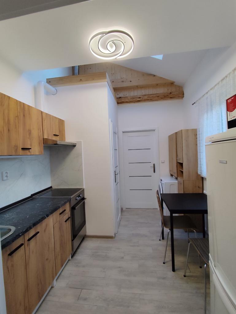 Pronájem bytu 1+1 20 m2