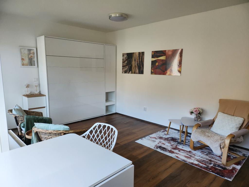 Pronájem bytu 1+kk 31 m2