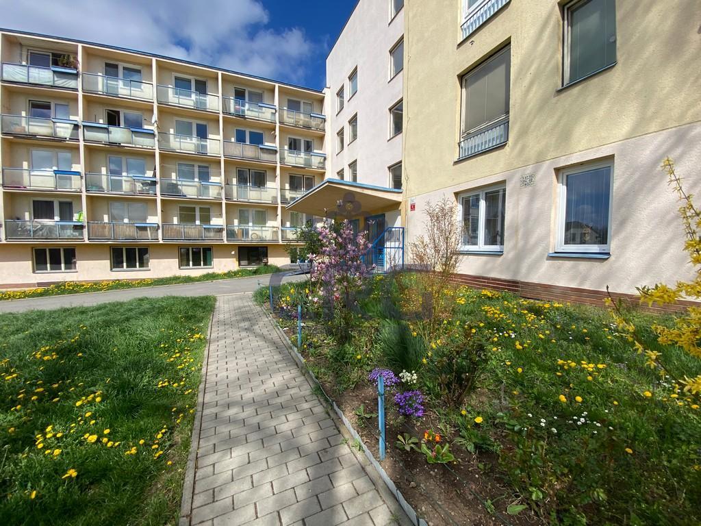 Pronájem 1+kk, Kuřim - Wolkerova, 8500 Kč, 21 m2