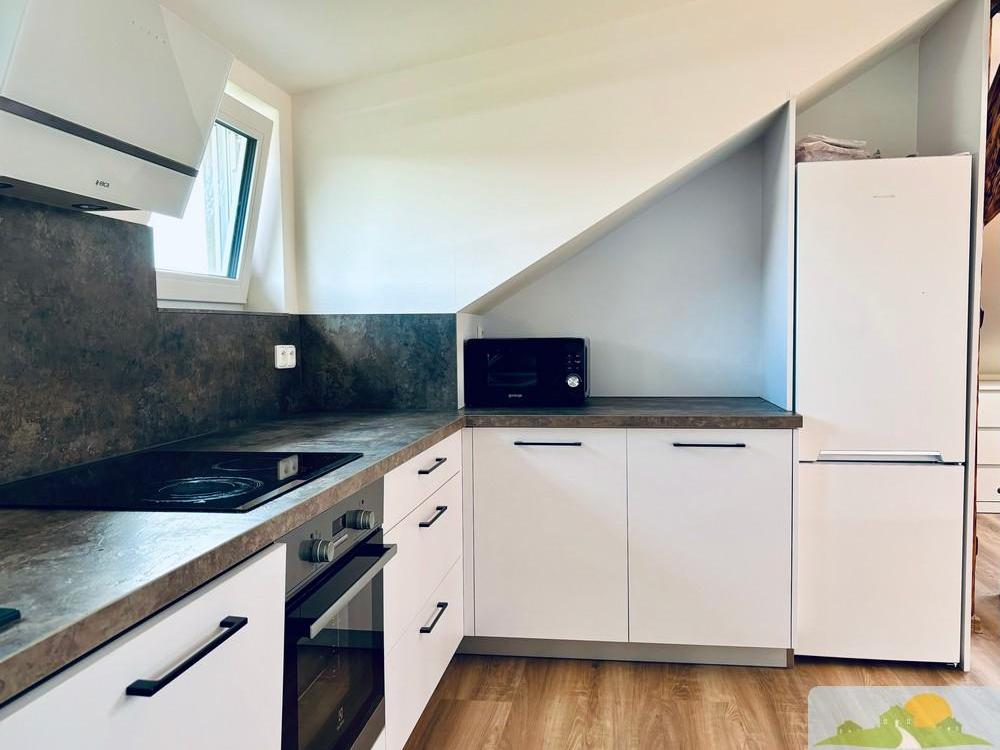 Pronájem bytu 1+kk 60 m2