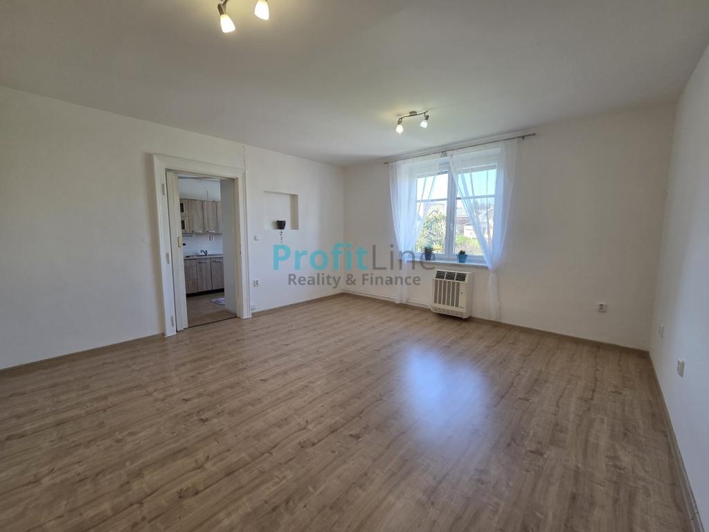 Pronájem bytu 1+1 40 m2