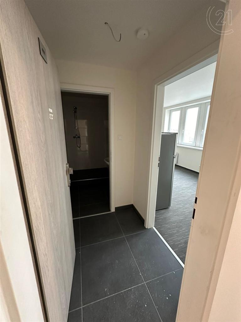 Pronájem bytu 1+kk 26 m2