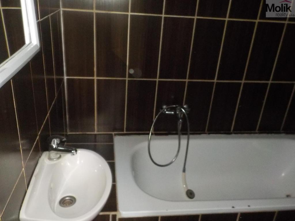 Pronájem bytu 1+1 45 m2