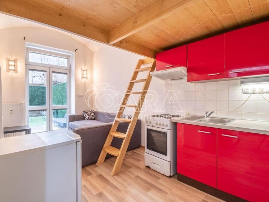 Pronájem bytu 1+kk 45 m2