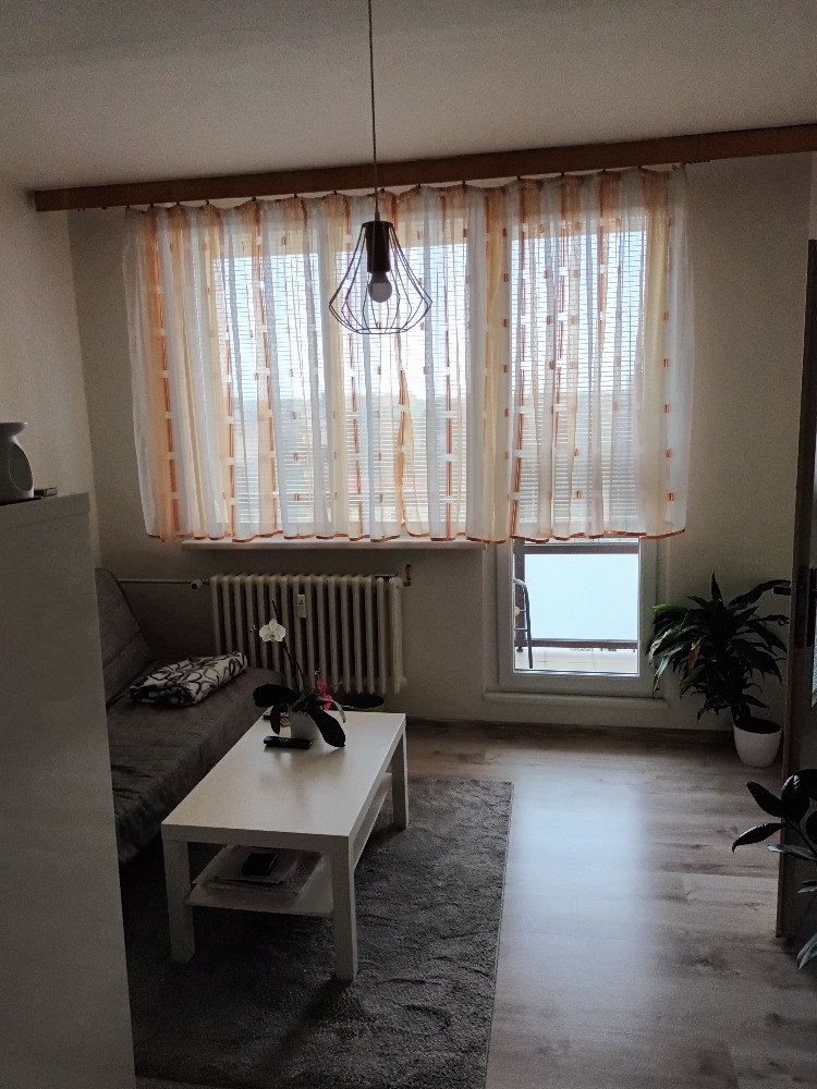 Pronajem bytu 1+1 40 m2