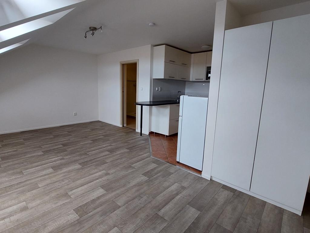 Pronájem bytu 1+kk 42 m2
