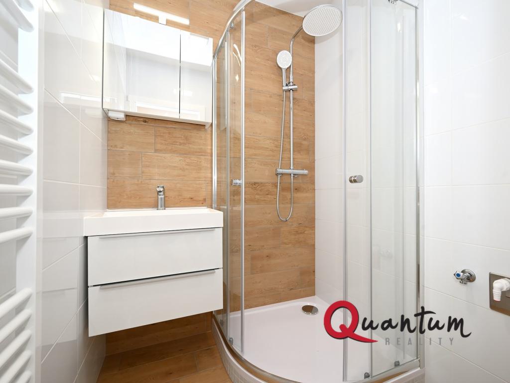 Pronájem bytu 2+1 55 m2