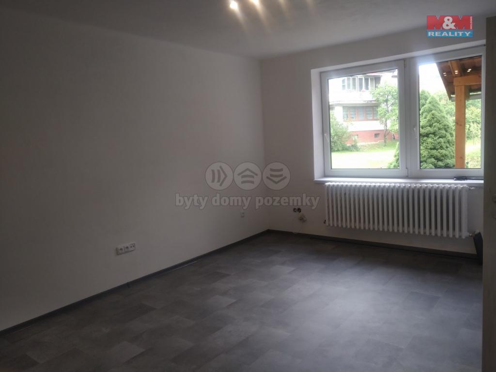 Pronajem bytu 1+kk 55 m2