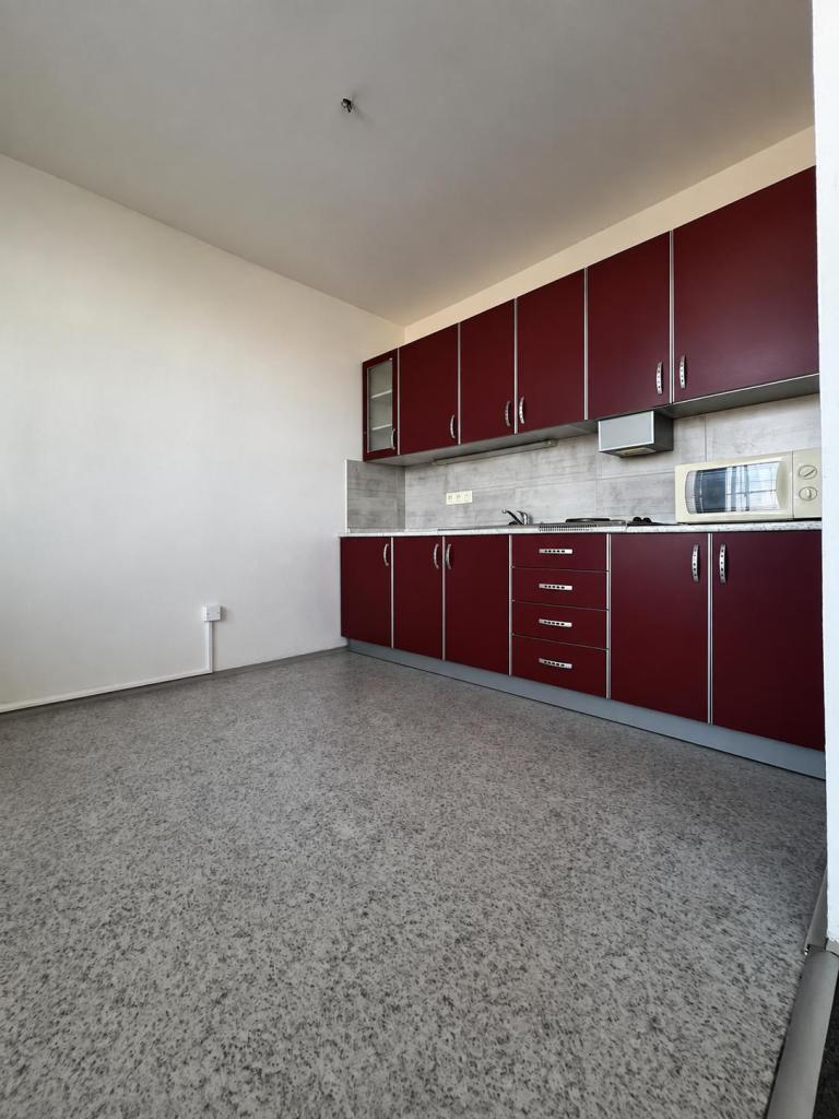 Pronájem bytu 1+1 43 m2