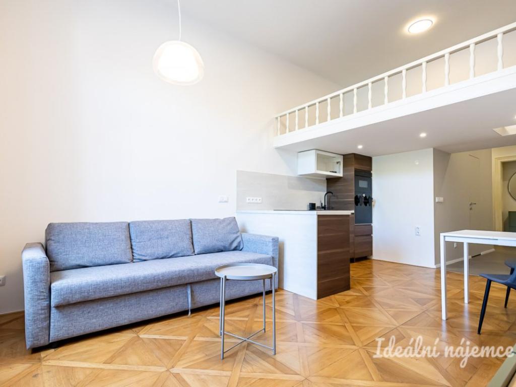 Pronájem bytu 1+kk 48 m2