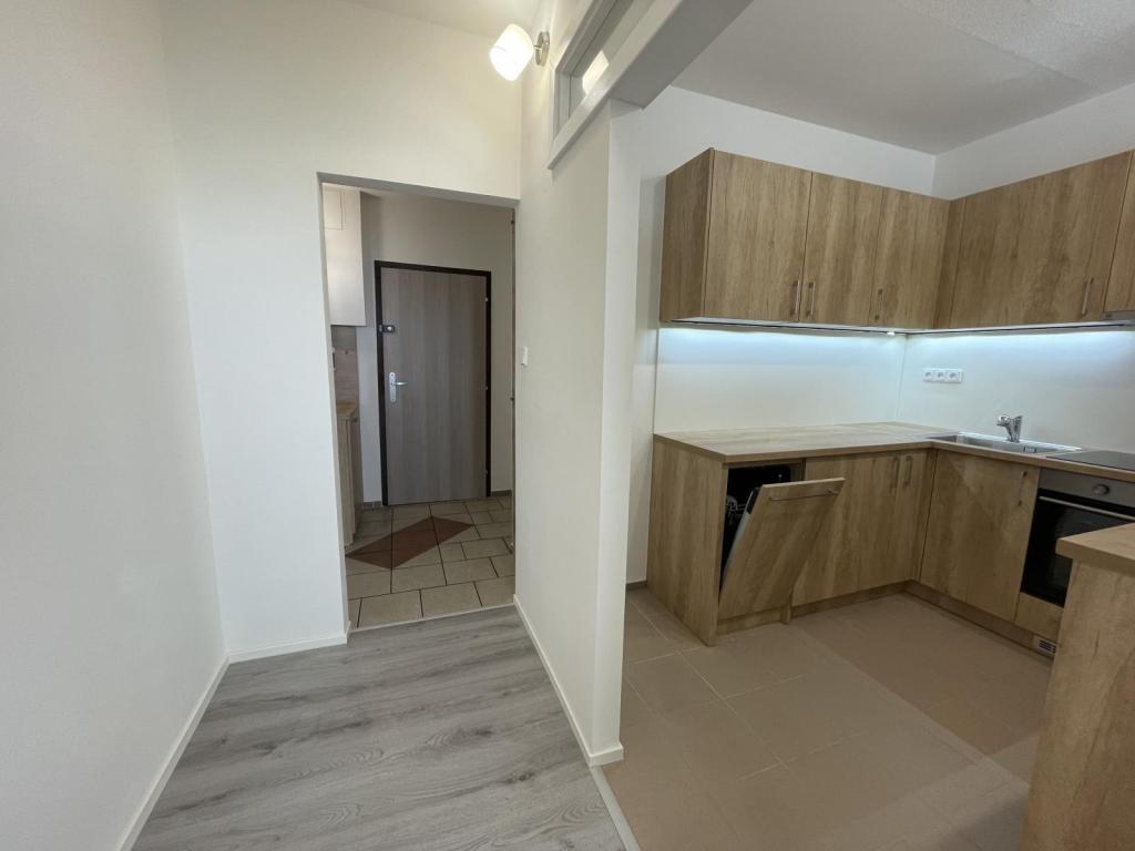 Pronájem bytu 2+1 45 m2