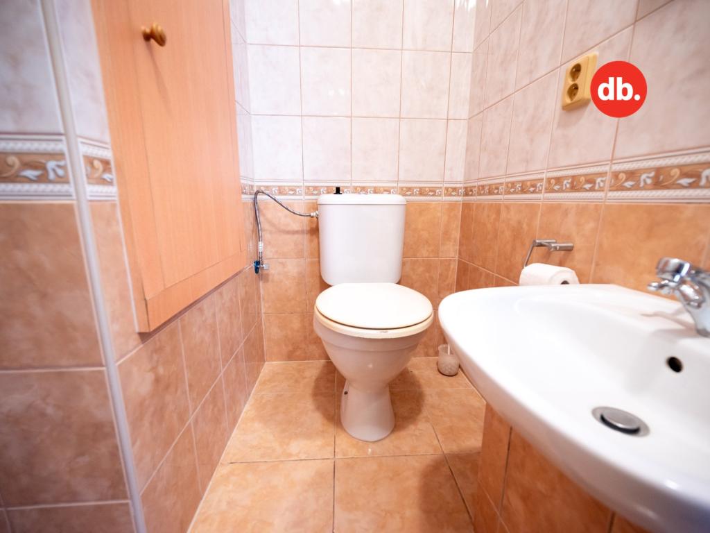 Pronájem bytu 3+1 72 m2, Nová Role – náhled fotky 9