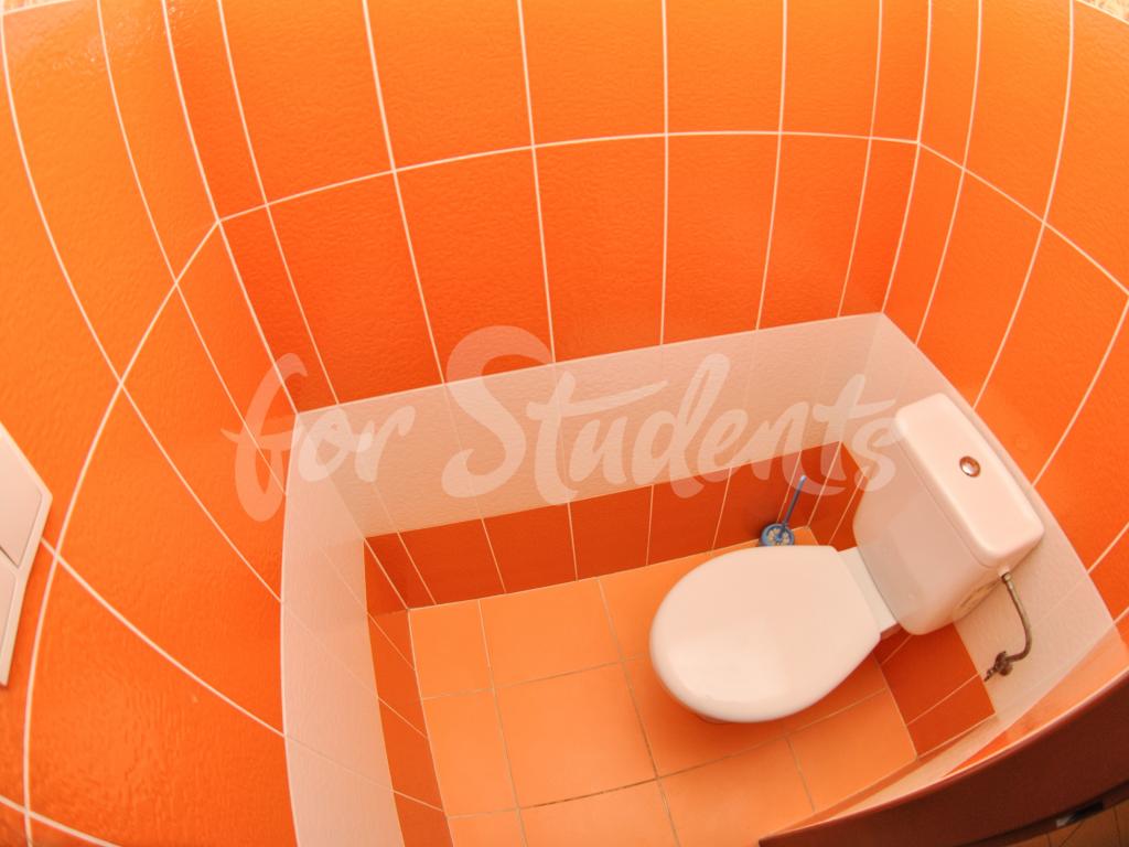 Spolubydleni bytu 1 lůžko 22 m2