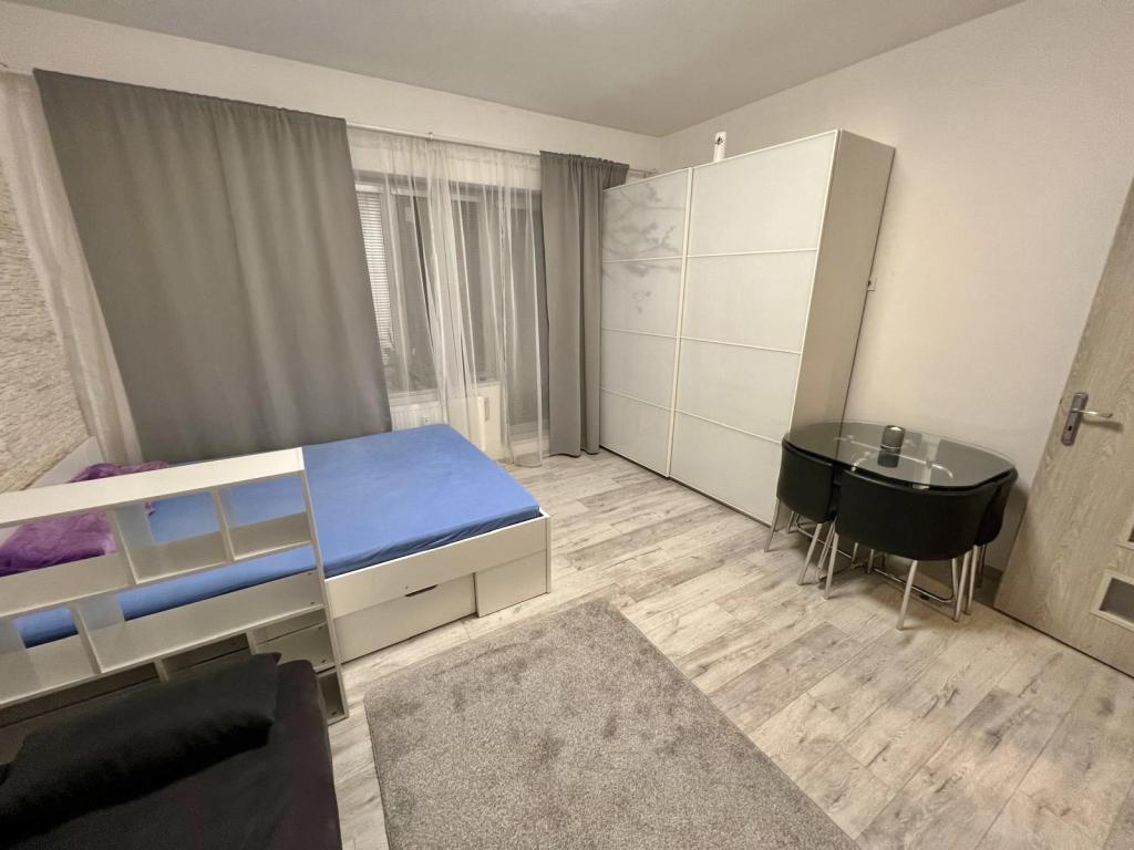 Pronájem bytu 1+kk 36 m2