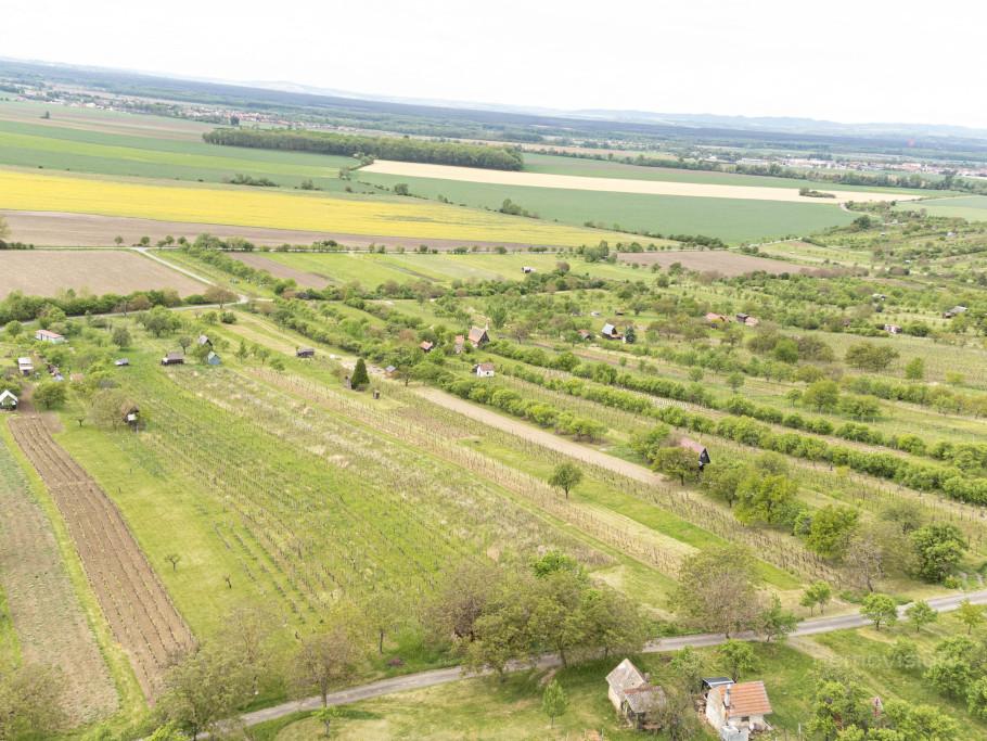Prodej pozemku 5457 m2, Strážnice – náhled fotky 6