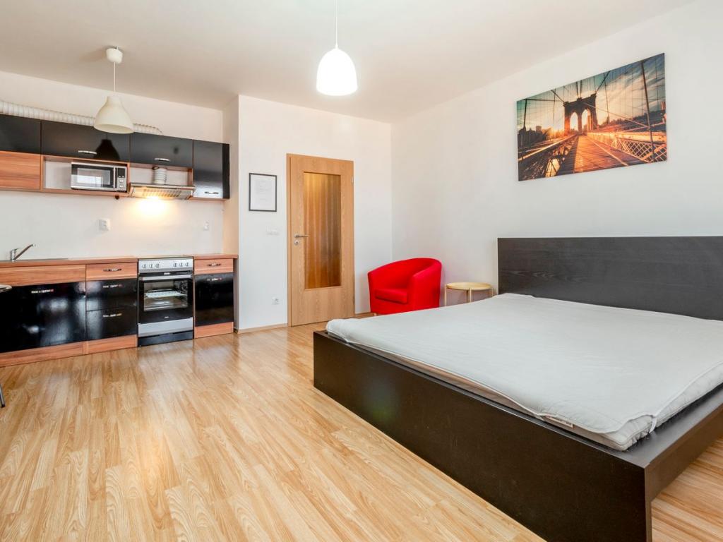 Pronajem bytu 1+kk 40 m2