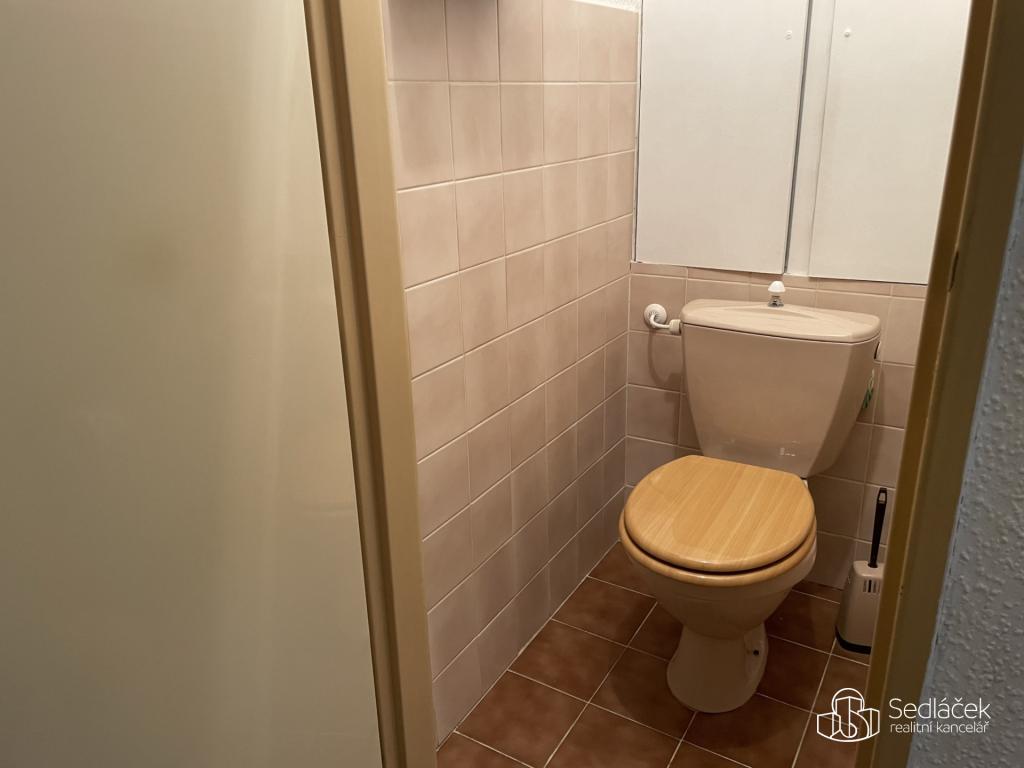 Pronájem bytu 2+1 55 m2