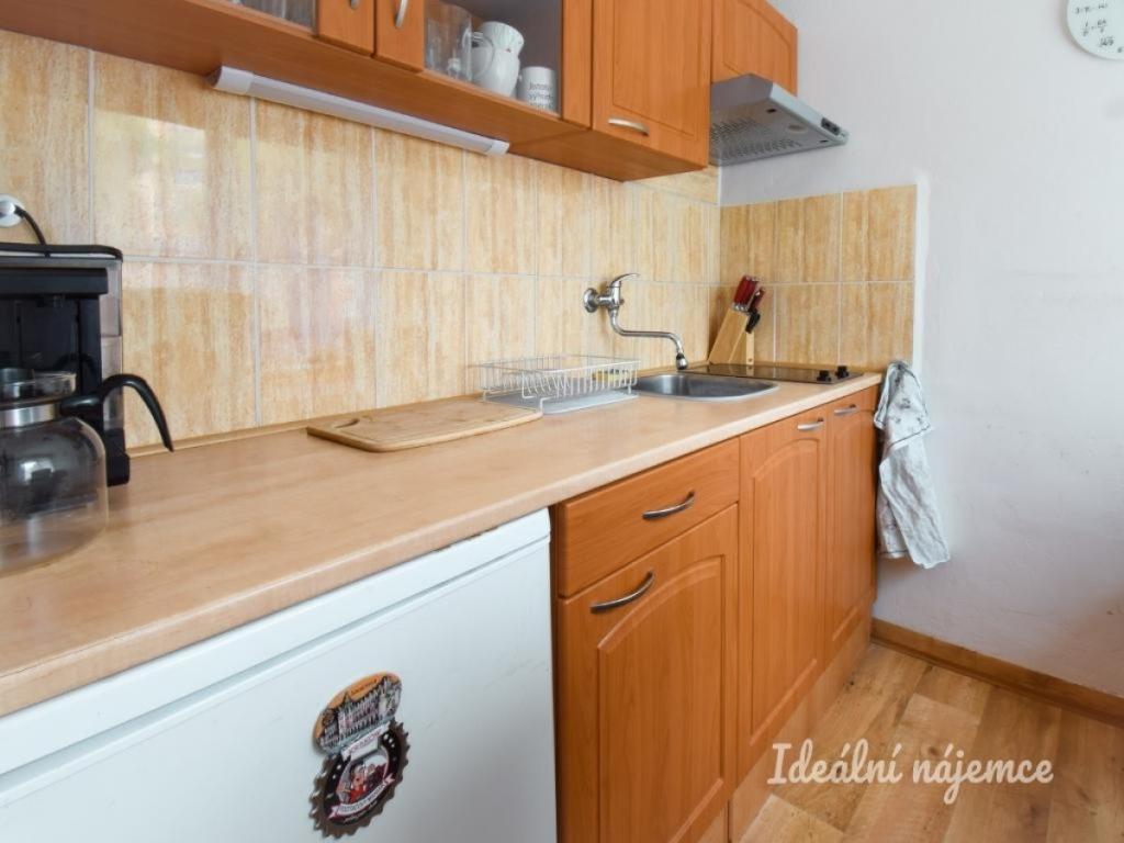 Pronájem bytu 1+1 25 m2