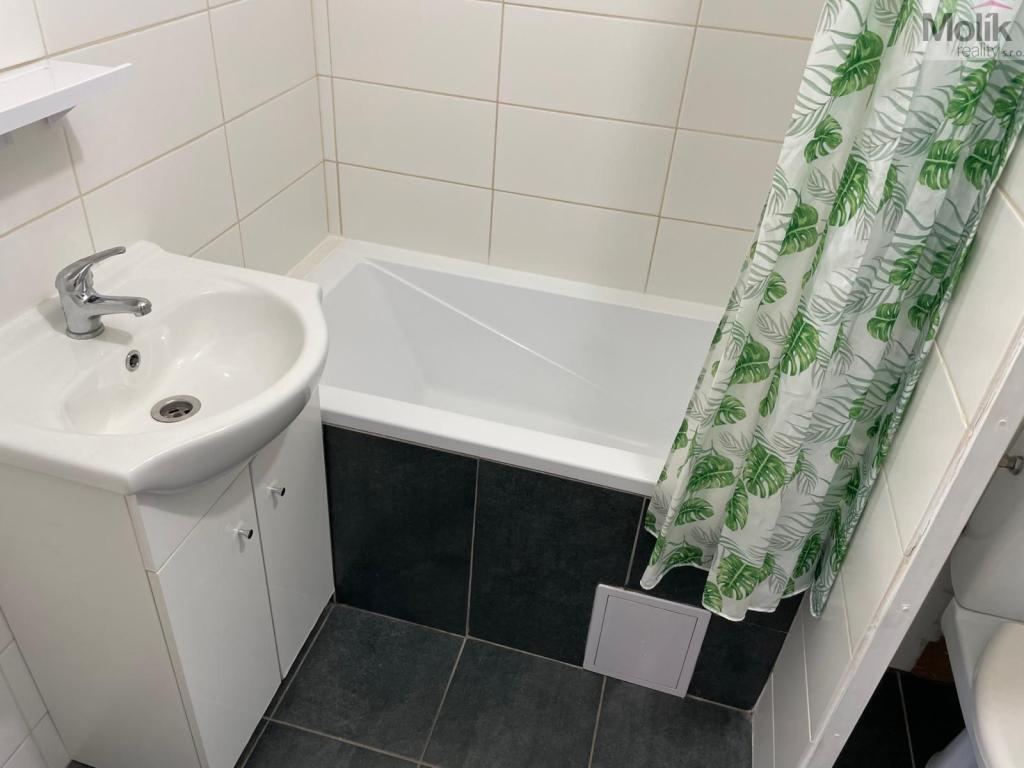 Pronájem bytu 1+kk 33 m2