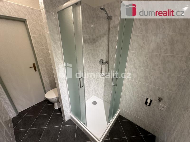 Pronájem bytu 1+1 40 m2